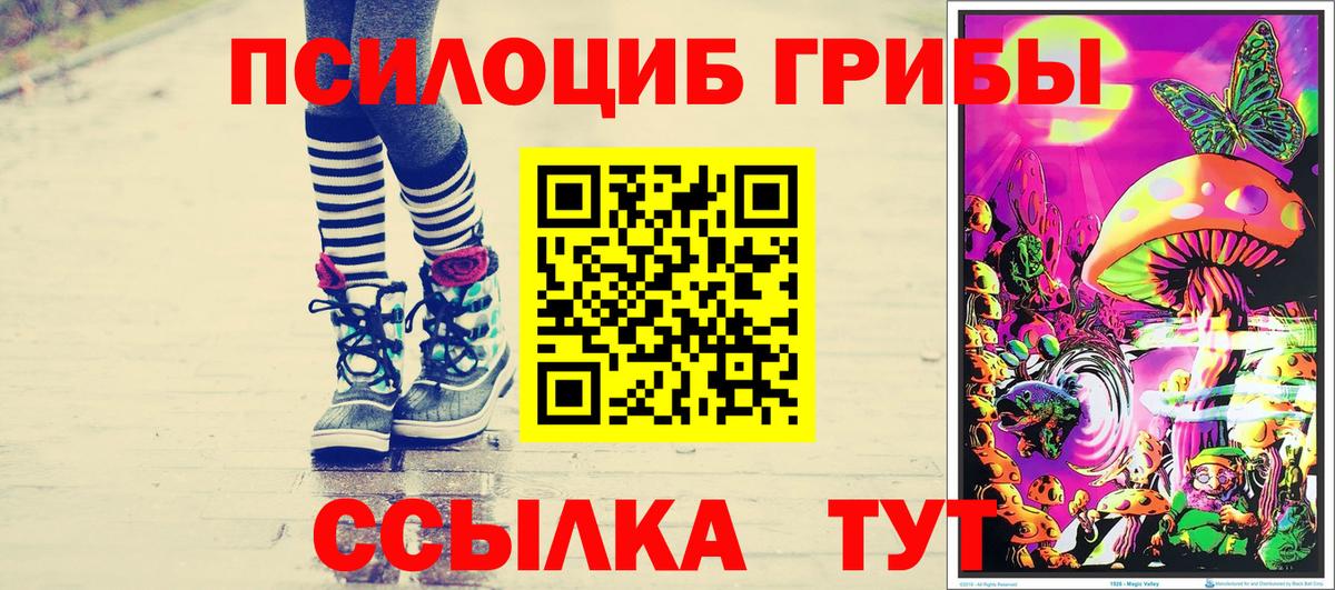 Псилоцибиновые грибы GOLDEN TEACHER Химки