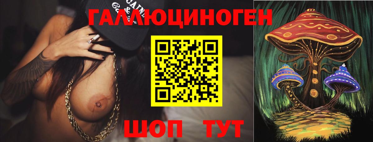 Химки  Псилоцибиновые грибы Psilocybine cubensis  Вход с VPN 